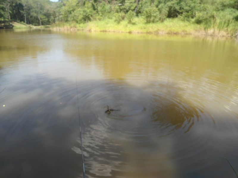 Chacara a venda R$ 120.000,00