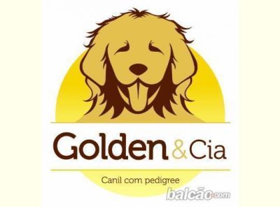 NINHADA PREVISTA PRETO E AMARELO. NASCE ATE 21-04