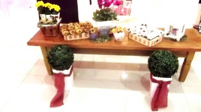 PACOTE PARA  CASAMENTO 