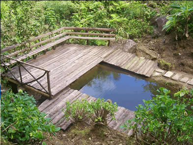 Lindo sítio a 2 horas do Rio seguro muito verde não perca