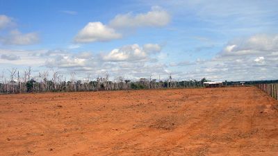 Fazenda a venda na região de Lucas do Rio Verde, Mato Grosso