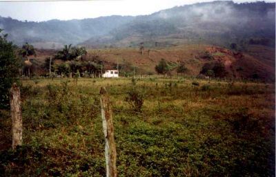 Fazenda 40 alq. Juquiá - SP