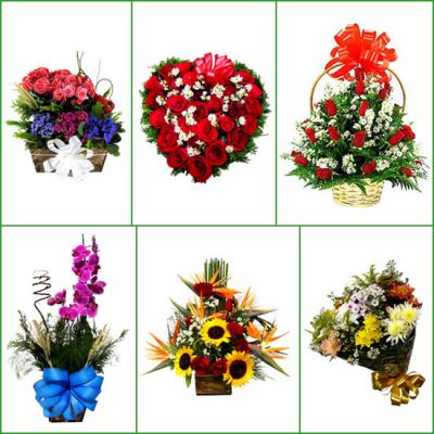 (31) 3024-1113 Flores Contagem flora Contagem floriculturas em Contagem MG entregas de flores 