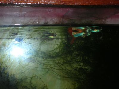 Aquário completo com capacidade total 250 litros de água