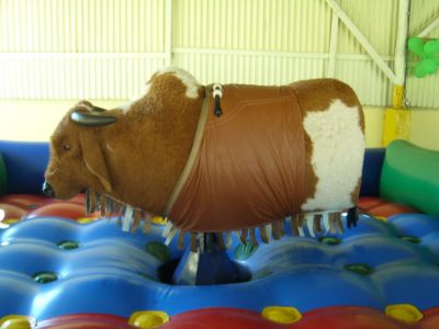 touro mecanico