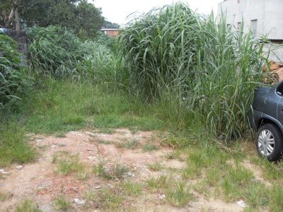 oportunidade para investidor