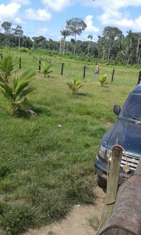 Fazenda na Transacreana - Ramal Jarinal