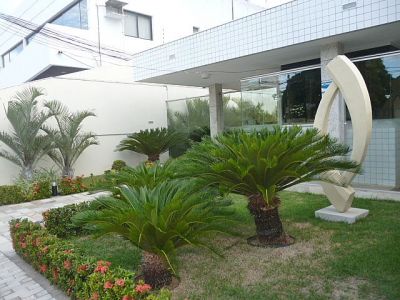 Excelente Apartamento para Alugar no Alecrim