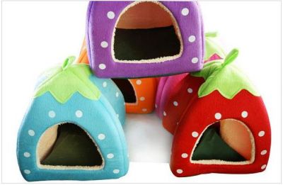 Casinha Iglu Moranguinho 