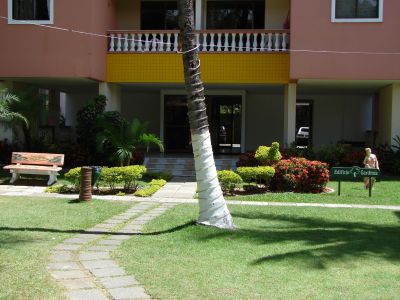 More em meio as arvores