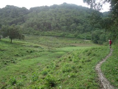 SÍTIO COM 14 ALQUEIRES