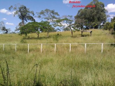  fazenda em paraopeba  mg com área de 162 ha