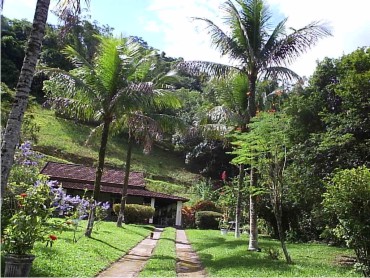 CACHOEIRAS DE MACACÚ SITIOS A VENDA CAETANO IMOVEIS