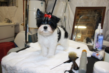 Este menino é um amor