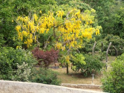 Sítio em Cabreúva-SP
