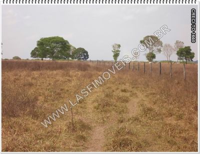 VENDE-SE FAZENDA NO TOCANTINS - 206 ALQ. (Rio Araguaia)