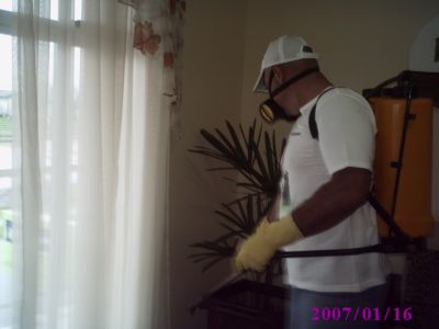 ddf dedetizadora controle de pragas urbanas.