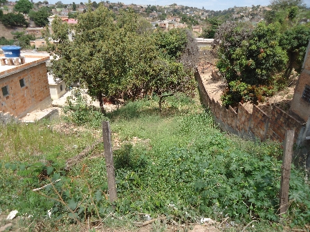 Lote em Rosaneves por 31 mil- á vista.