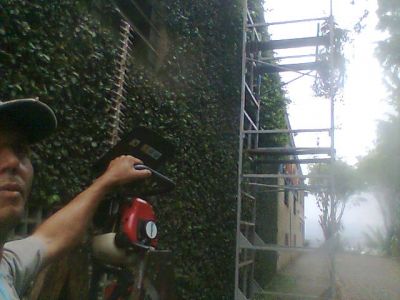 pasagismo e jardinagem -11-2303-3441 ,7303-3441