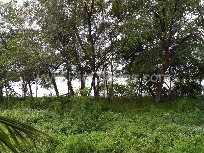 Casas em Praia seca Rioofertas vende 