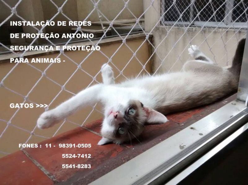 Redes de Proteção na Vila Mariana, Rua Dona Brigida, (11)  98391-0505