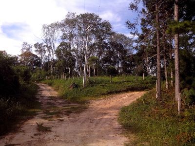 Chacara com treze alqueires ótima para reflorestamento.