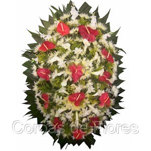 Flora Funeral House,Preço promocional para Empresas da grande BH