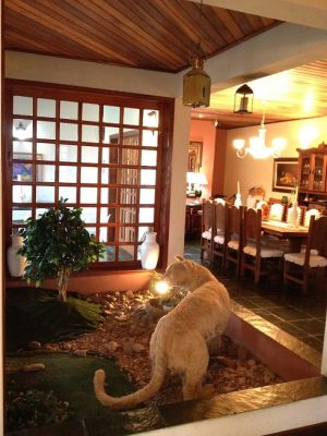 Casa de Cinema no Ninho Verde I