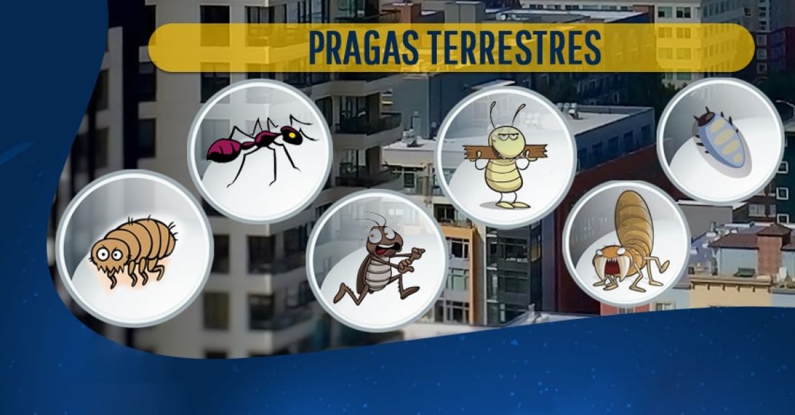 Controle corretivo de pragas em condomínios com eficácia