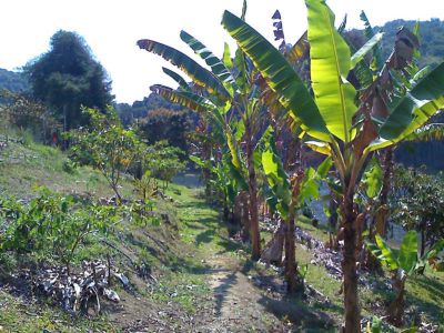 CHACARA E RANCHO DE PESCA NA REPRESA DE PARAIBUNA/SP - R$ 100.000,00
