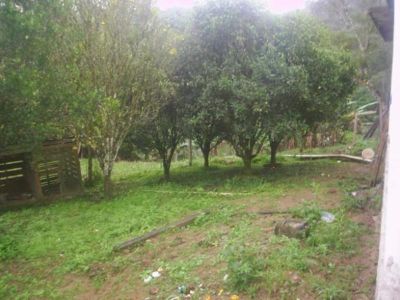 CHÁCARA COM 4.500 M² - JUQUITIBA - SP - F: (11) 4686-1562 - CEL: (11) 7302-9229 