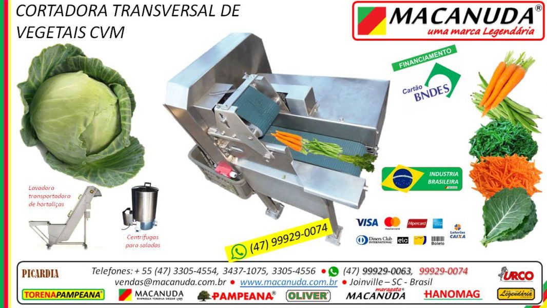 Vendas em Belo Horizonte Máquina Profissional de Cortar Tempero verde