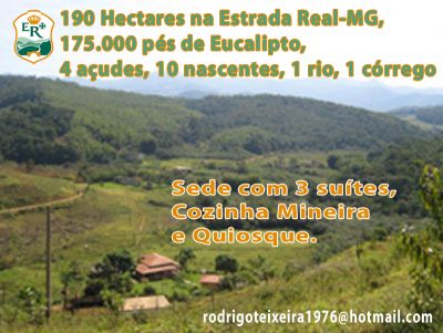 FAZENDA IMPERDÍVEL NA ESTRADA REAL-MG