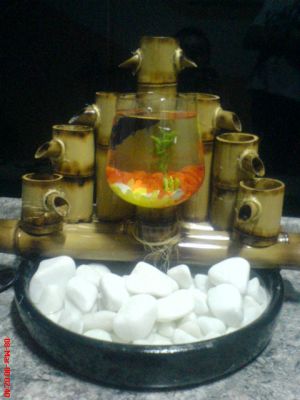 Fonte de Água em Bambú com pedras e mini aquario com beta