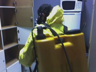 DEDETIZAÇÃO ZEUS LTDA