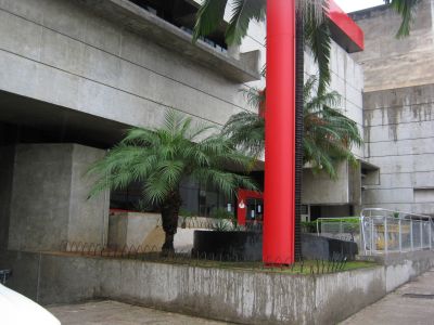 Lopes e Silva Jardinagem e Paisagismo