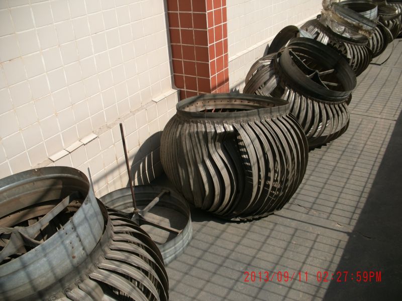 EXAUSTORES  EÓLICOS  ● Assistência Técnica & Manutenção  Geral 