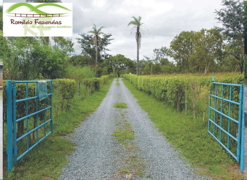 Fazenda em Paraopeba otimo p/ haras