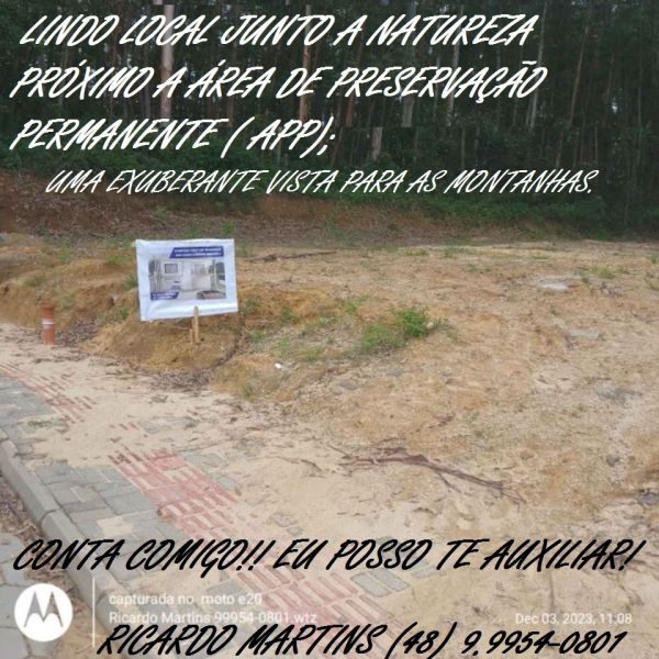 Loteamento Lúcia Giassi Cocal do Sul Jardim das Palmeiras