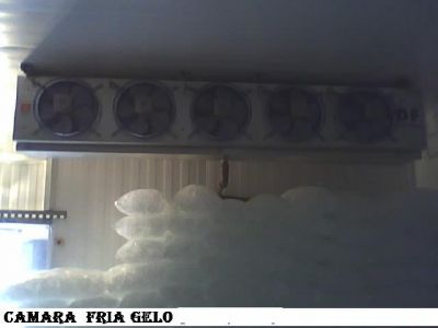 camara fria congelados e resfriados  r$12.500.00 [17]91047360