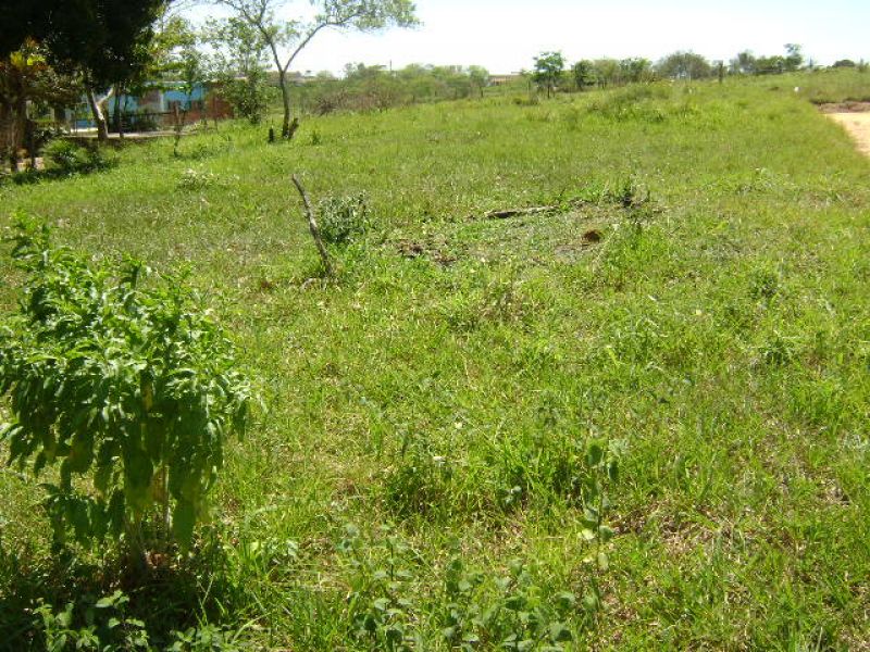 ARARUAMA –JAPÃO –TERRENO PLANO Á 100 M DO ASFALTO.