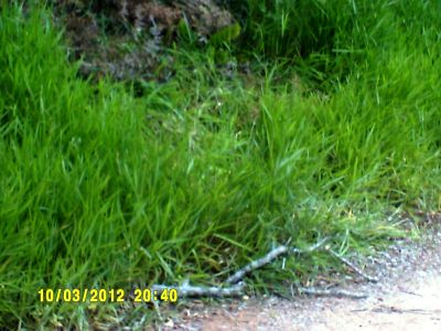 TERRENOS À PARTIR DE 750 MTS, 20,00 O M²