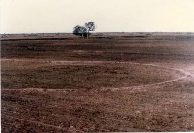 FAZENDA EM MINAS GERAIS -www.romildofazendas.com.br