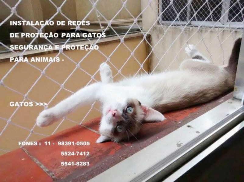 Telas de Proteção no Campo Limpo, Rua Lira Cearense, (11)  98391-0505 whats