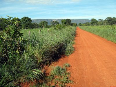 Excelente Sítio 26 hectares - (Todo Plano)