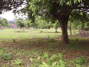 CACHOEIRAS DE MACACÚ SITIOS A VENDA CAETANO IMOVEIS