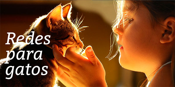 Tela para janela, em Santo Amaro, Alameda Santo Amaro, (11) 5524-7412