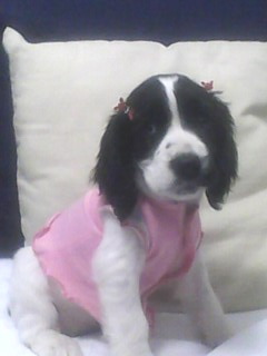 Linda Cocker Inglesa Femea