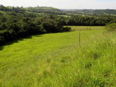 FAZENDA NO NORTE DO PARANÁ CORNÉLIO PROCÓPIO