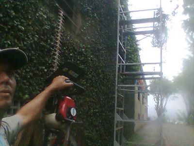 PAISAGISMO E JARDINAGEM (11)2303-5217/6557-9589/8621-3420